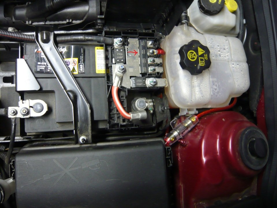 fuses on the cruise battery